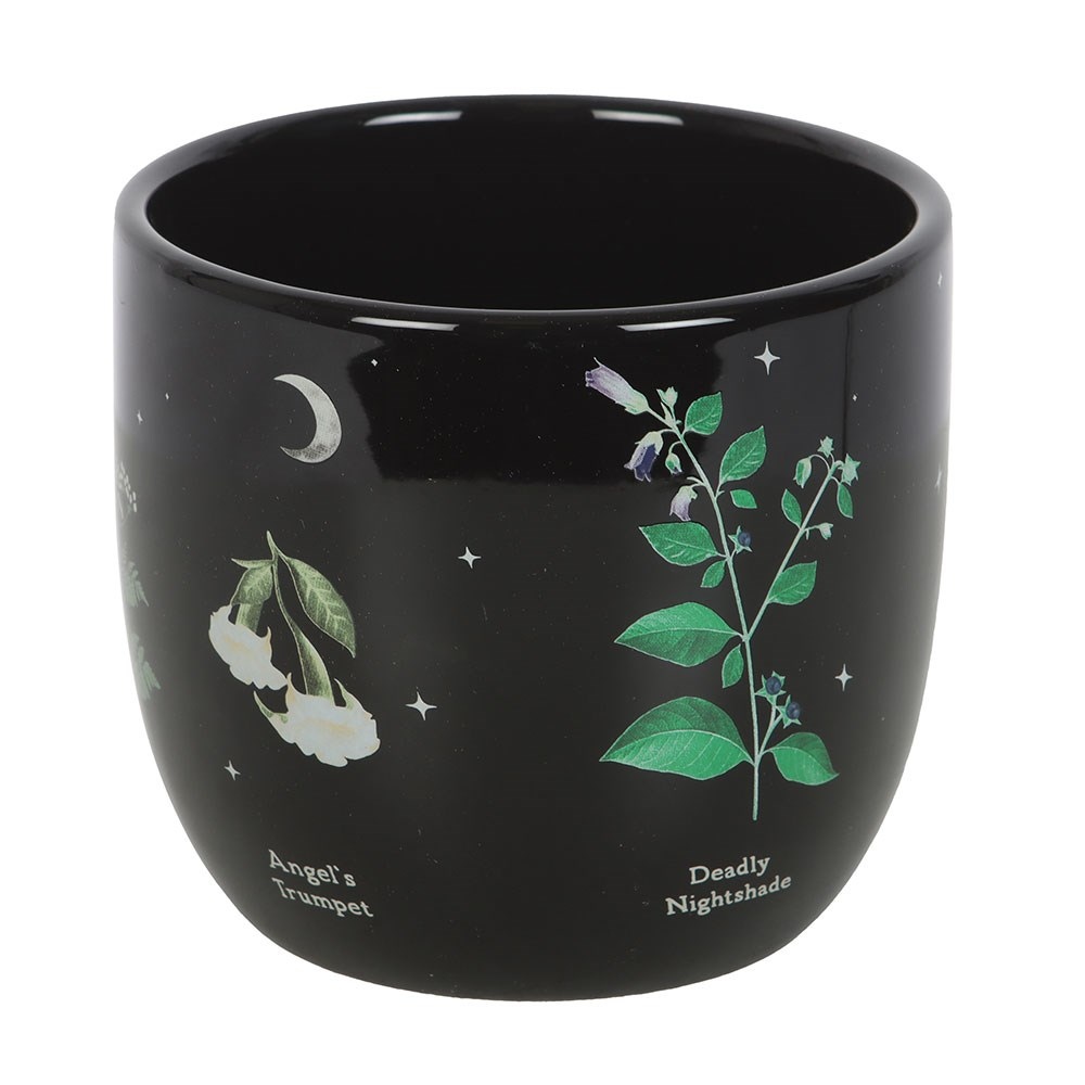 Something Different - Poisonous Plants Pot - Multicolore